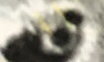 แบม แบม profile icon