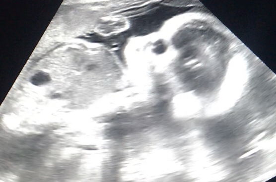 ดอลลี่ profile icon