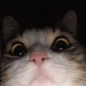 Indah W Aprilia profile icon