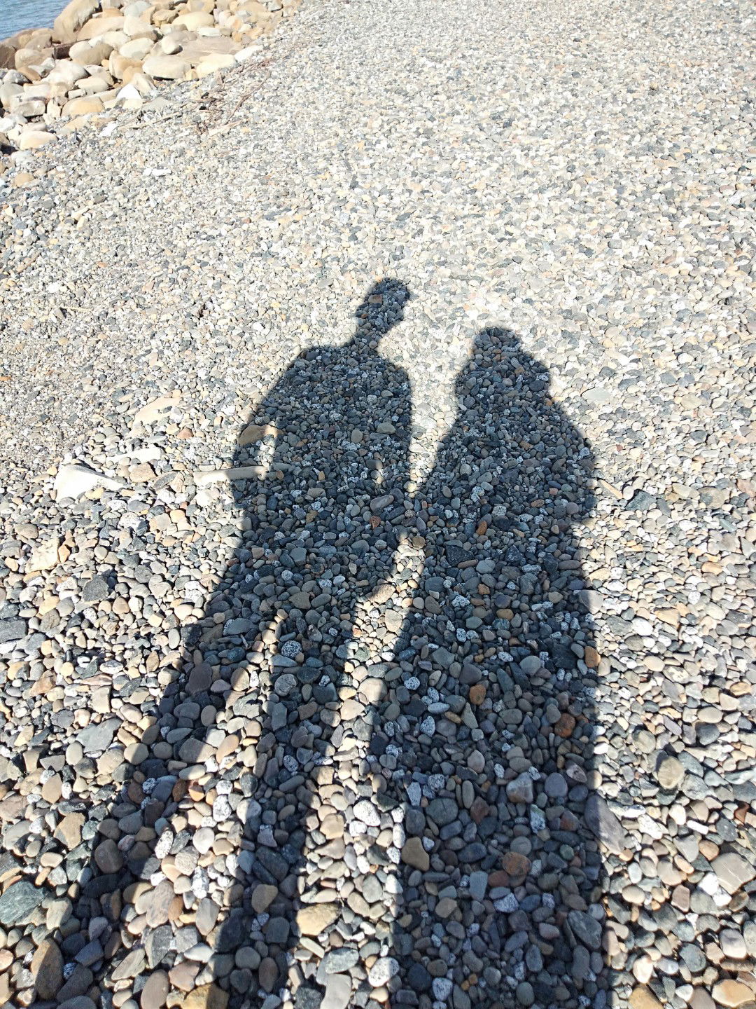 Zah & Rid profile icon