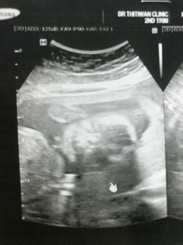 Bam Zab profile icon