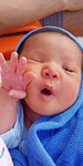 นันทภรณ์ จิตหาญ profile icon