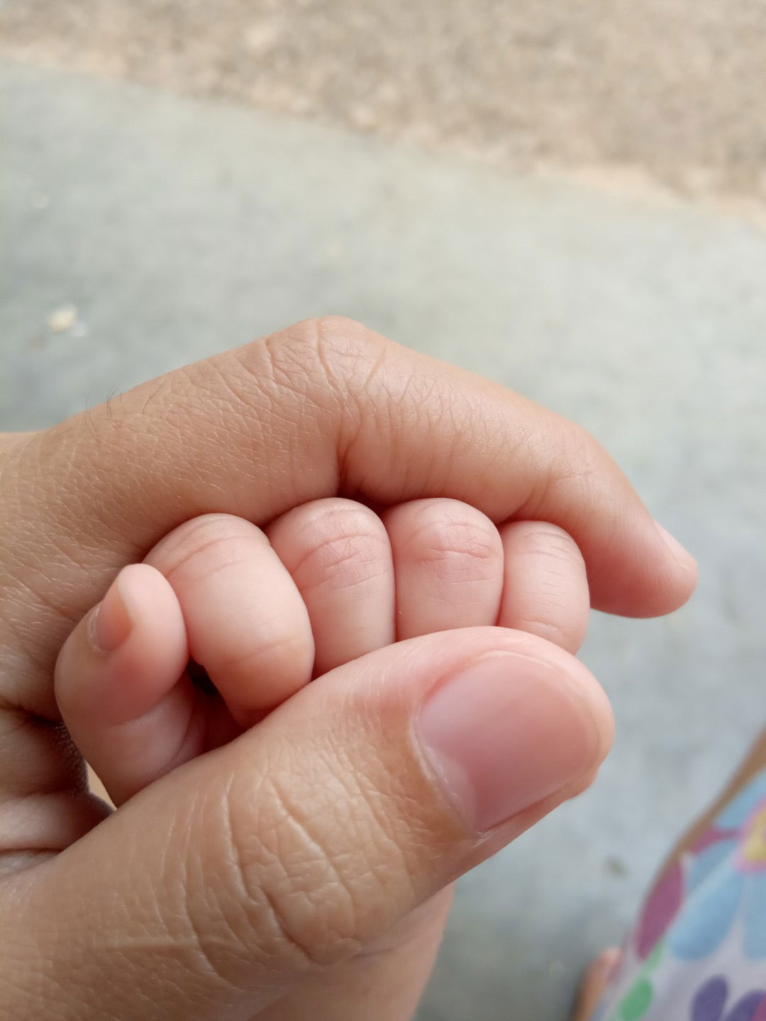 Tri Yani profile icon