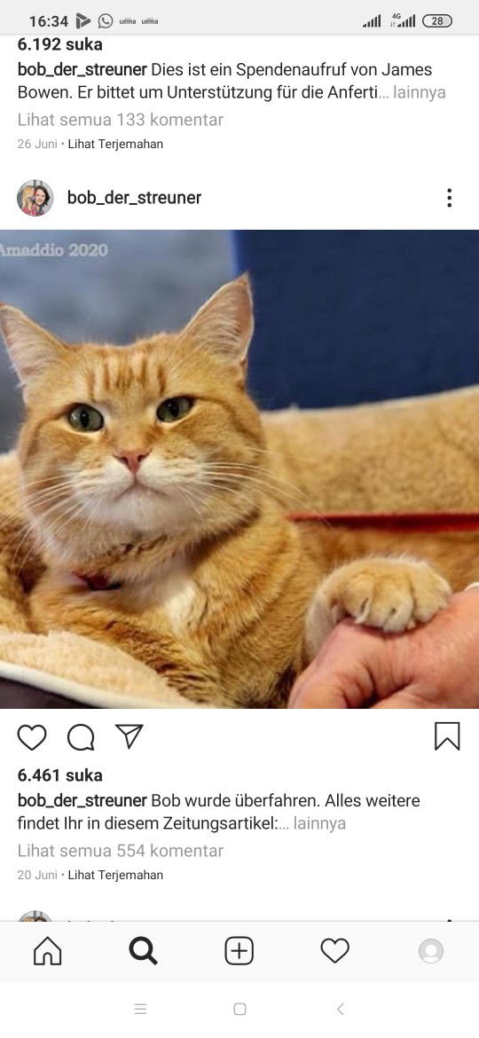 tuflikha profile icon