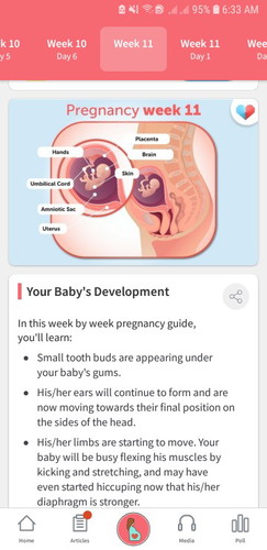 11 weeks