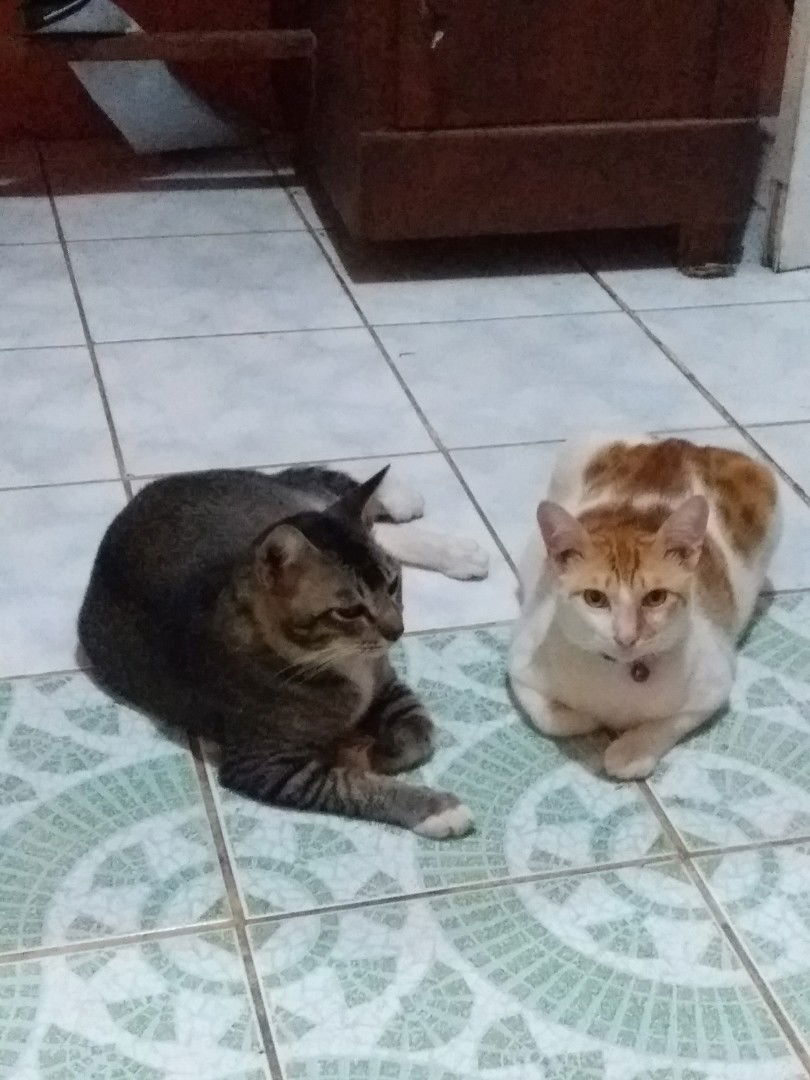 Hilda Wahyudini profile icon