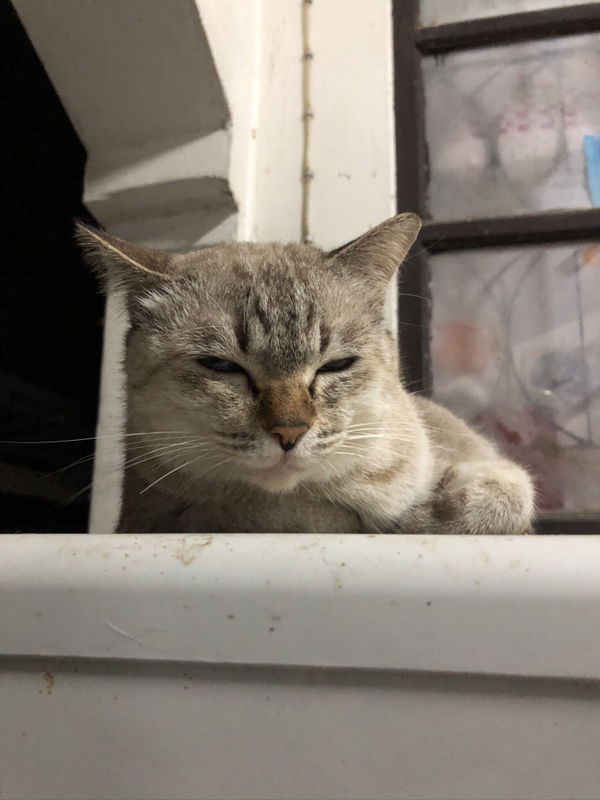 SUKANYA profile icon