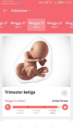 Kehamilan 37week bun