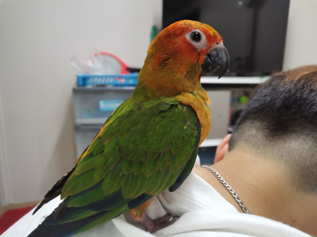 Nameis Bussara profile icon