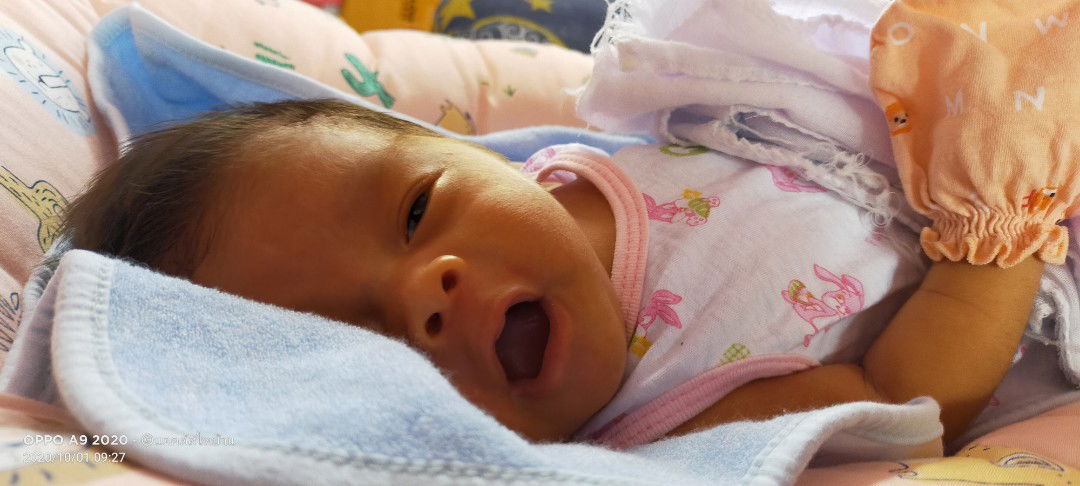 Wanichcha Sutchanthuek profile icon