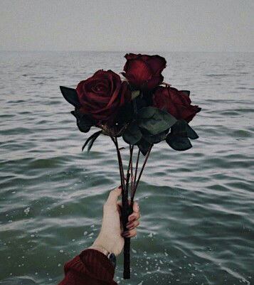 Nur jannah profile icon