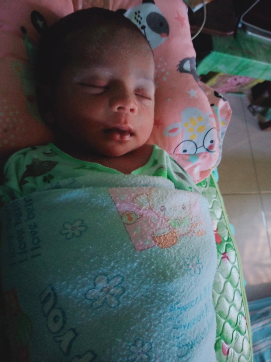 endankakuh profile icon