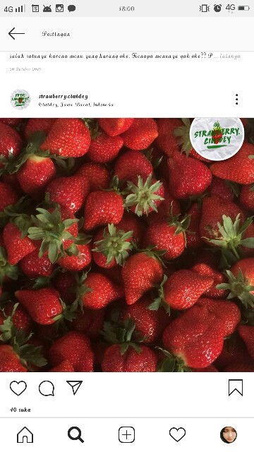 Kejukraft profile icon