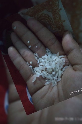 sering makan beras