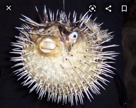 mommy Siti profile icon