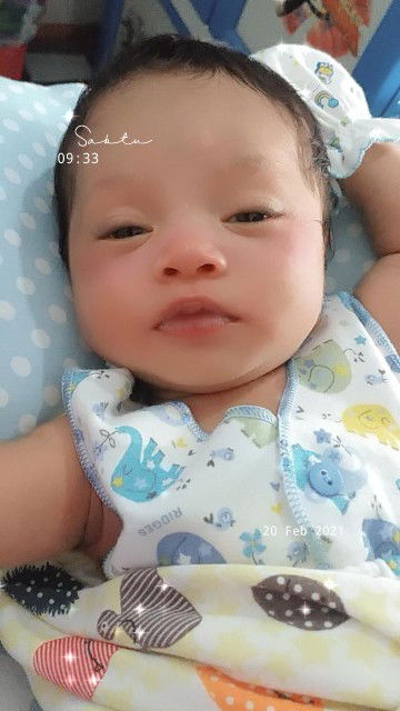 Mardiyah profile icon