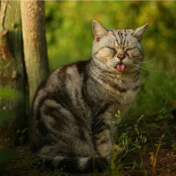 fitria ningsih profile icon