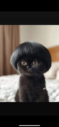 Mama Jajaaaa profile icon