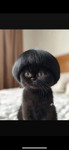 Mama Jajaaaa profile icon