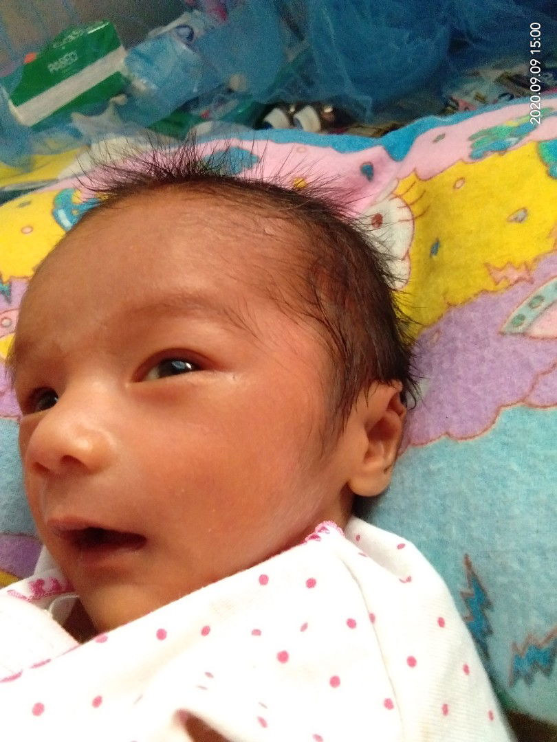 Elvia Sundari R profile icon