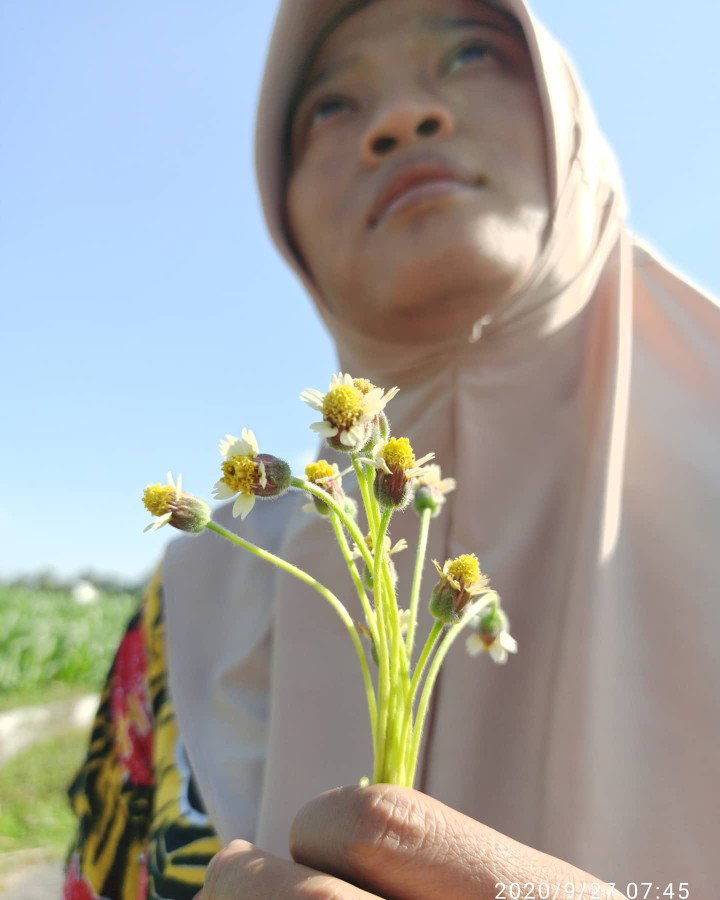 DINAH KARTIKASARI profile icon