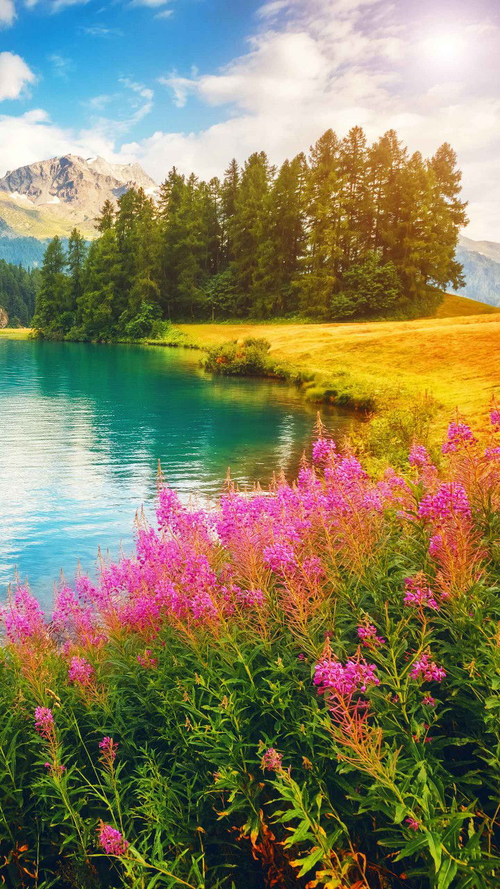 แม่น้องวินเนอร์​ profile icon