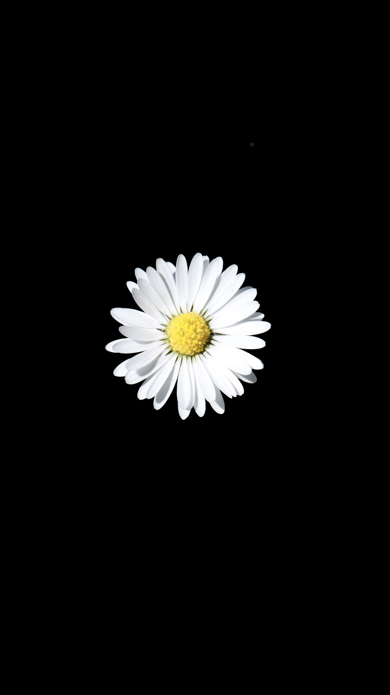 ยาริส profile icon