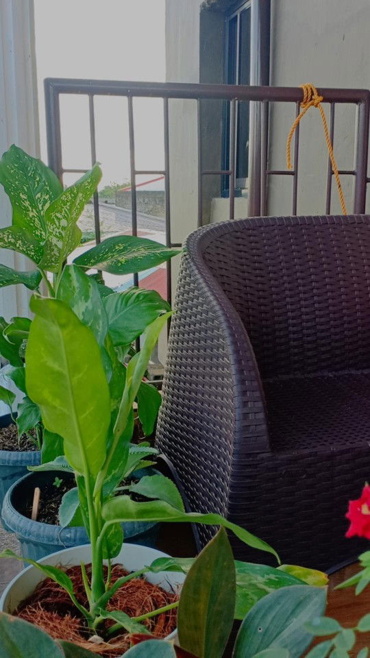 unknown profile icon