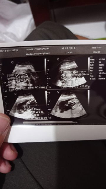 Eleonora profile icon