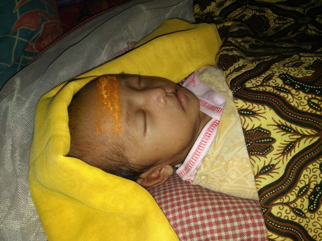 wafa el qudsi profile icon