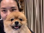 Pornpun Chiewchankitjakarn profile icon