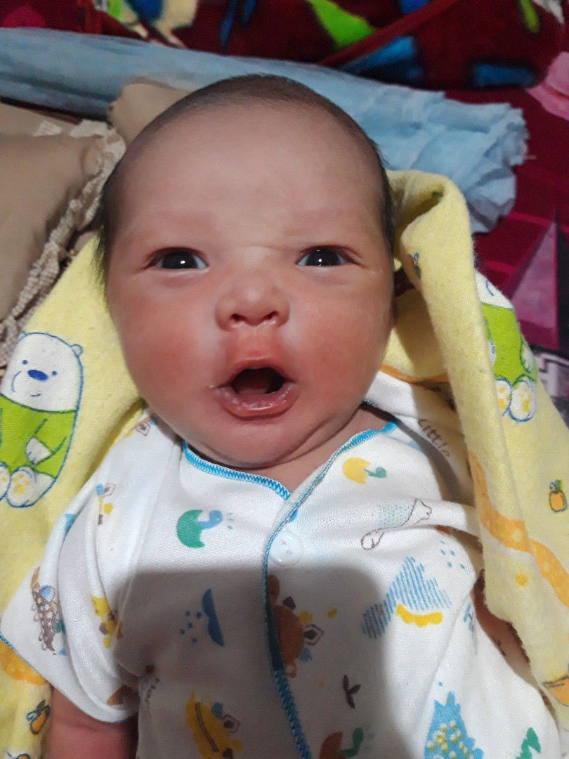 Dian Triya Rini profile icon