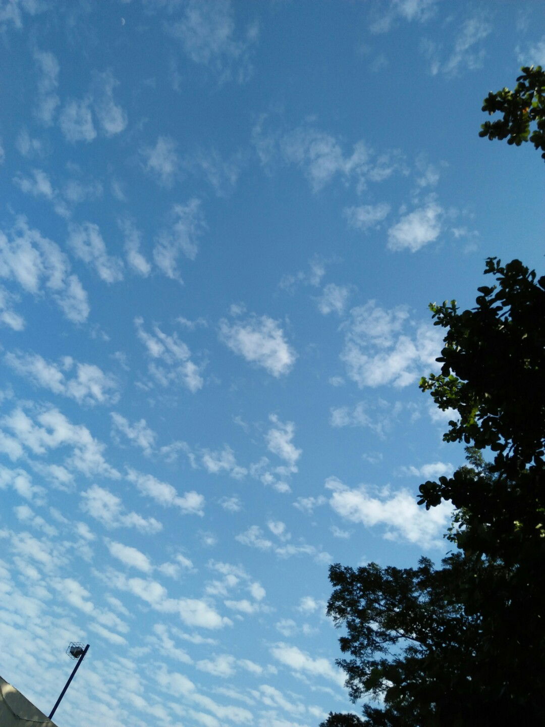 Iffah Nur Fahmi profile icon