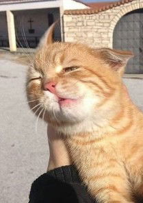 Rose Ita profile icon