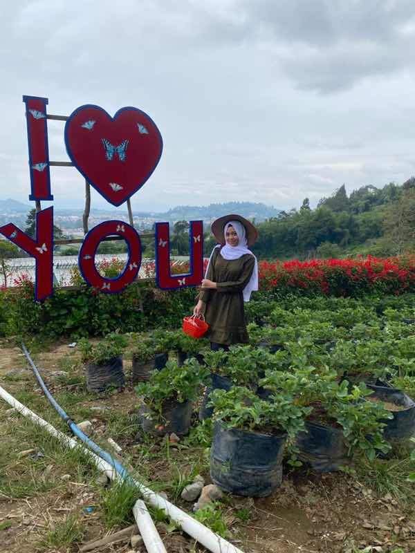 Chitra Azalea profile icon