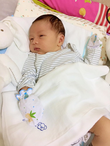 เจ้าหมูเคนโด้
