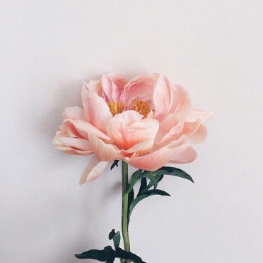 Endang.ratna profile icon