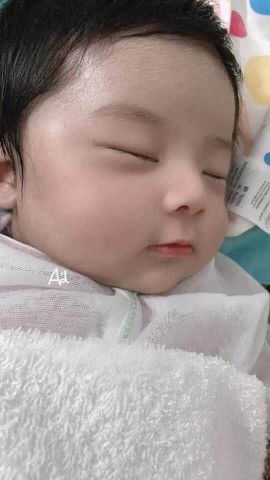 shutter profile icon