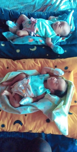launcing baby twins (cwek cwok)