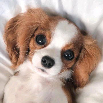 Mama G. profile icon