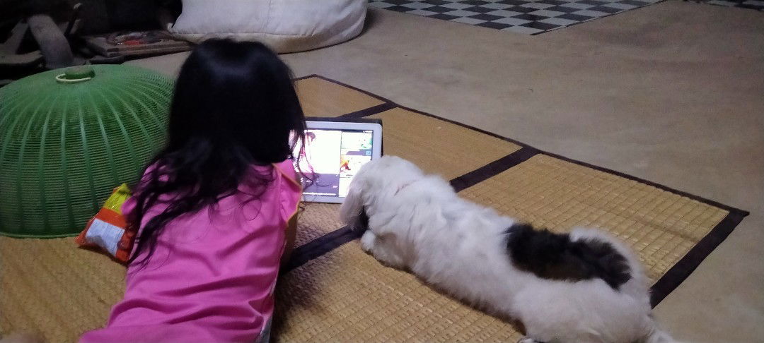 modkaoak profile icon