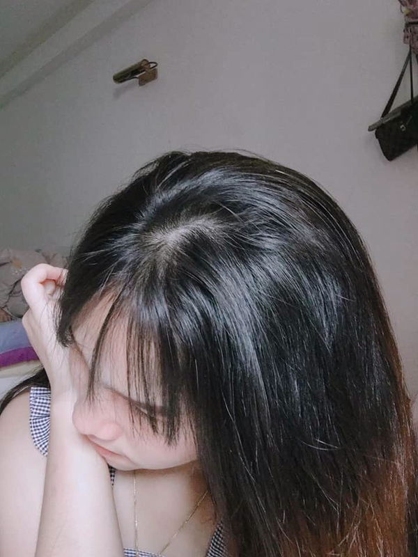 Bow nut . profile icon