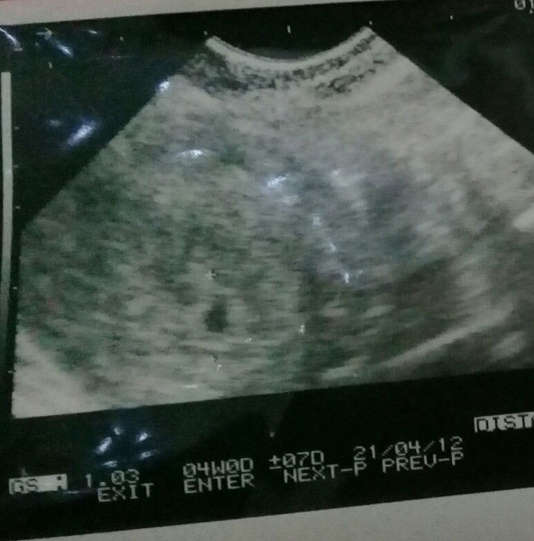 risky ajistia profile icon