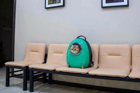 Cik Puah profile icon