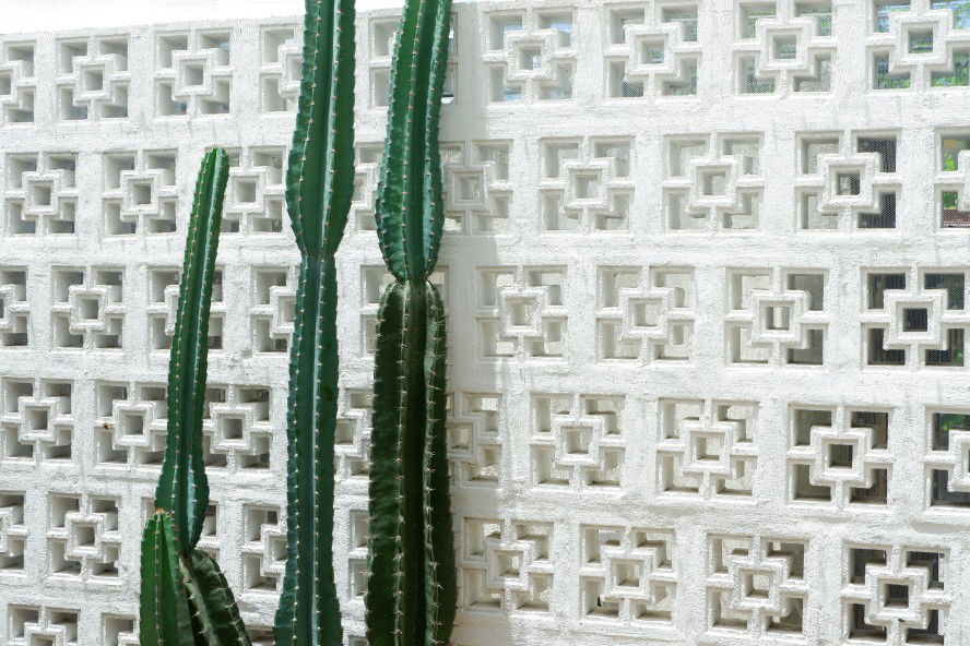 Suvimol profile icon