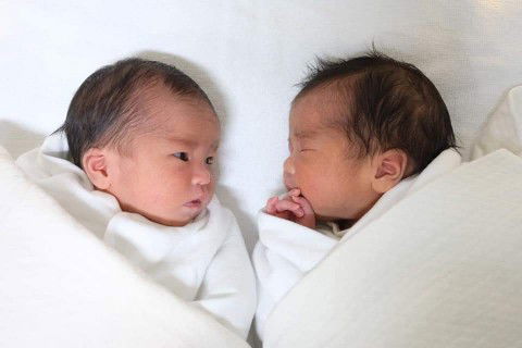 Nussara P. Piboonchainan profile icon