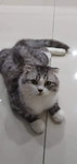 Jie profile icon