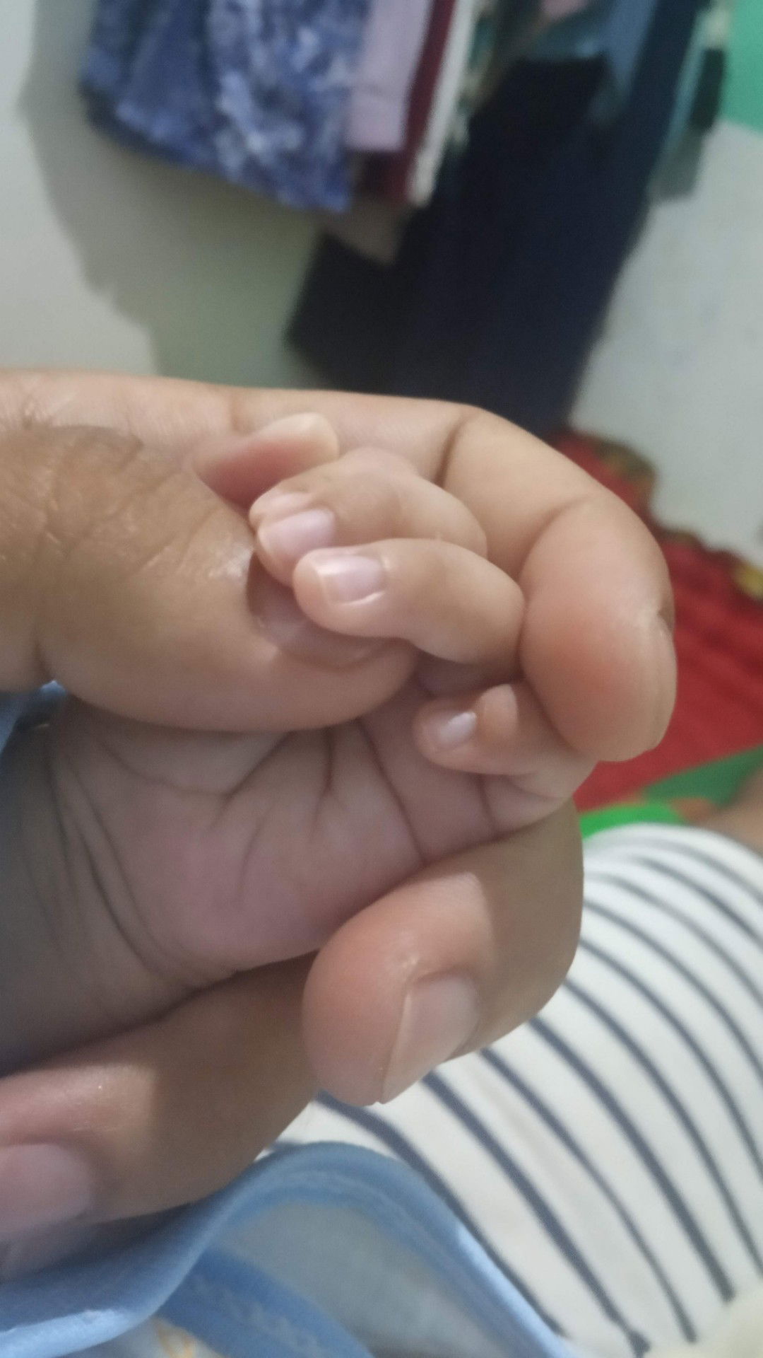 adhelia fesa profile icon