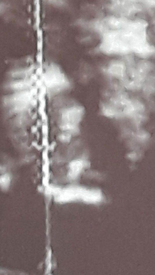 Franz kathrine Dela cruz profile icon