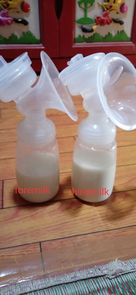 Foremilk & hindmilk